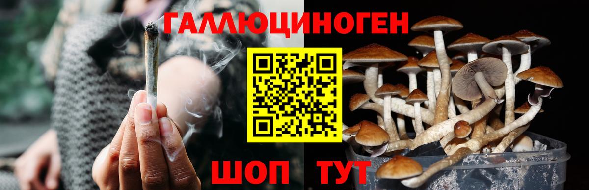 Галлюциногенные грибы мицелий  Галлюциногенные грибы Cubensis  Сафоново  Вход с VPN 
